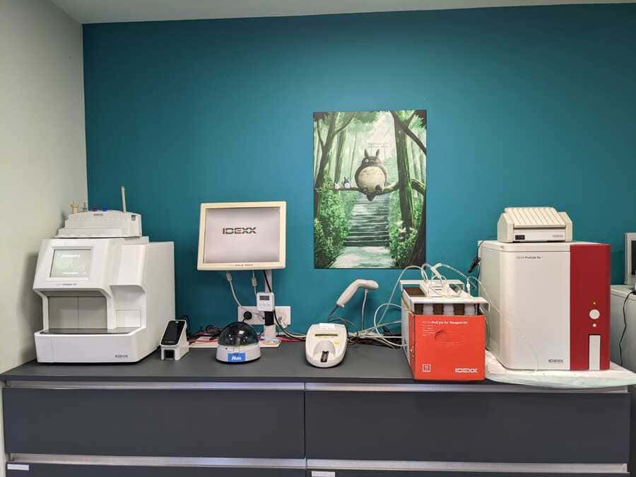 Laboratoire de Ma Clinique Vétérinaire à Cébazat